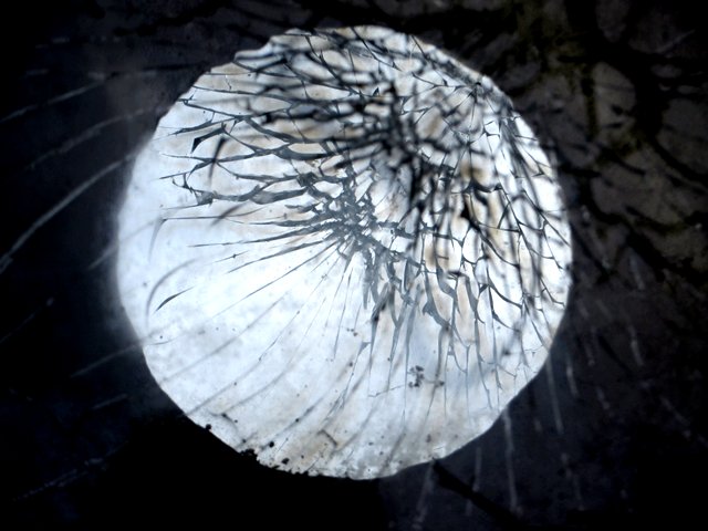 13.01.2009_001.jpg