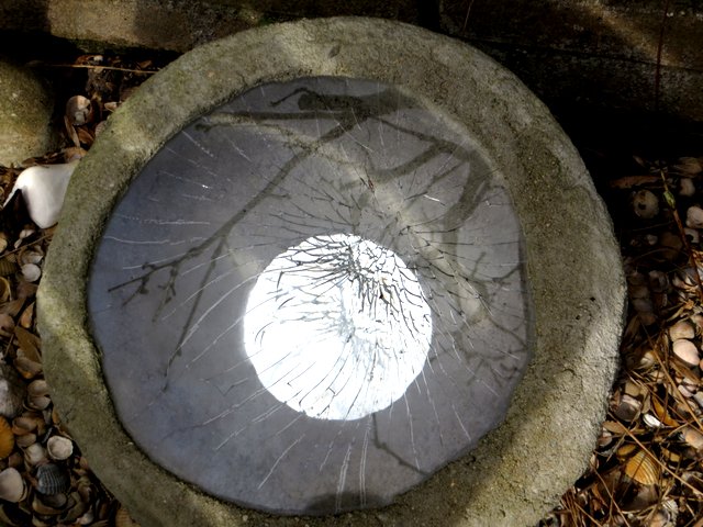 13.01.2009_002.jpg