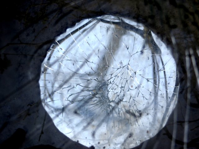 13.01.2009_006.jpg