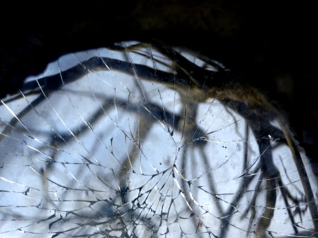 13.01.2009_009.jpg